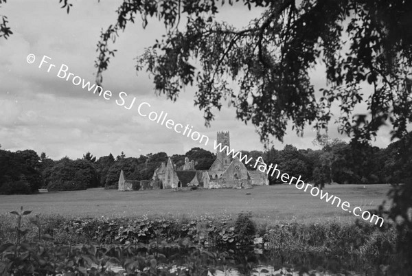 DESMOND CASTLE AND FRANCISCAN FRIARY